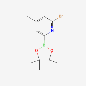 (6-Bromo-4-methylpyridin-2-YL)boronic acid pinacol ester