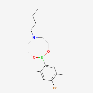 molecular formula C16H25BBrNO2 B14020697 2-(4-Bromo-2,5-dimethylphenyl)-6-butyl-1,3,6,2-dioxazaborocane 