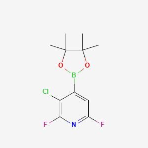 molecular formula C11H13BClF2NO2 B14021309 3-Chloro-2,6-difluoro-4-(4,4,5,5-tetramethyl-1,3,2-dioxaborolan-2-yl)pyridine 