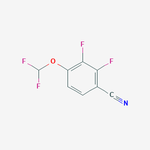 molecular formula C8H3F4NO B1402187 4-(Difluoromethoxy)-2,3-difluoro-benzonitrile CAS No. 1404194-65-5