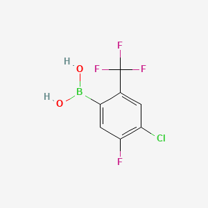 molecular formula C7H4BClF4O2 B14022928 4-Chloro-5-fluoro-2-(trifluoromethyl)phenylboronic acid 