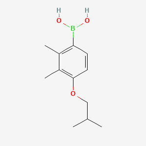 (4-Isobutoxy-2,3-dimethylphenyl)boronic acid