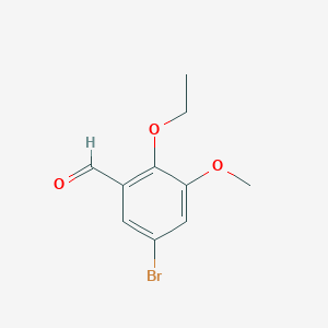 molecular formula C10H11BrO3 B14024222 5-Bromo-2-ethoxy-3-methoxybenzaldehyde 