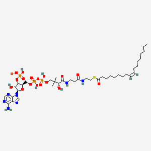 lithium;[(2R,3S,4R,5R)-5-(6-aminopurin-9-yl)-4-hydroxy-2-[[hydroxy-[hydroxy-[(3R)-3-hydroxy-2,2-dimethyl-4-[[3-[2-[(Z)-octadec-9-enoyl]sulfanylethylamino]-3-oxopropyl]amino]-4-oxobutoxy]phosphoryl]oxyphosphoryl]oxymethyl]oxolan-3-yl] hydrogen phosphate