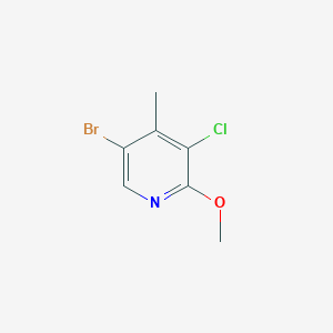 molecular formula C7H7BrClNO B14024320 5-Bromo-3-chloro-2-methoxy-4-methylpyridine 