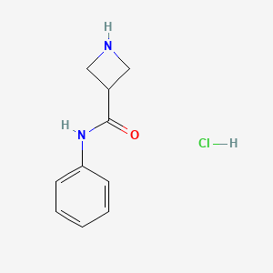 molecular formula C10H13ClN2O B1402459 N-Phenyl-3-azetidinecarboxamide hydrochloride CAS No. 1229625-02-8