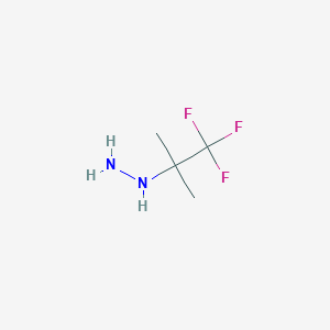 (1,1,1-Trifluoro-2-methylpropan-2-yl)hydrazine