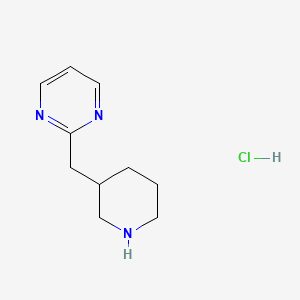molecular formula C10H16ClN3 B1402568 2-(Piperidin-3-ylmethyl)pyrimidine hydrochloride CAS No. 1361115-87-8