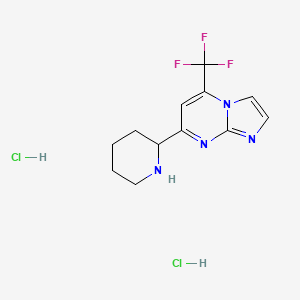 molecular formula C12H15Cl2F3N4 B1402599 7-哌啶-2-基-5-三氟甲基-咪唑并[1,2-a]嘧啶二盐酸盐 CAS No. 1361114-75-1