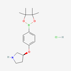 molecular formula C16H25BClNO3 B14026594 (S)-3-(4-(4,4,5,5-Tetramethyl-1,3,2-dioxaborolan-2-yl)phenoxy)pyrrolidine hydrochloride CAS No. 2114341-27-2