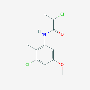 B1402764 2-Chloro-N-(3-chloro-5-methoxy-2-methylphenyl)propanamide CAS No. 1365962-98-6
