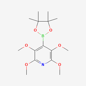 molecular formula C15H24BNO6 B1402955 2,3,5,6-Tetramethoxy-4-(4,4,5,5-tetramethyl-1,3,2-dioxaborolan-2-yl)pyridine CAS No. 2096995-77-4