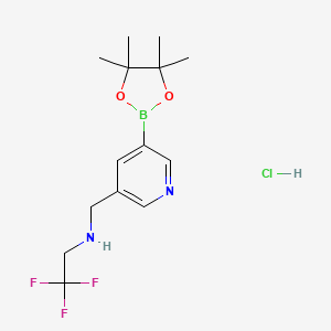 B1402999 2,2,2-trifluoro-N-((5-(4,4,5,5-tetramethyl-1,3,2-dioxaborolan-2-yl)pyridin-3-yl)methyl)ethanamine hydrochloride CAS No. 919347-59-4