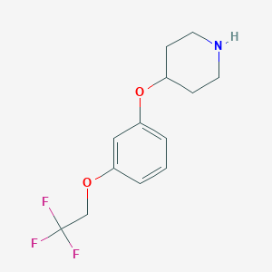 molecular formula C13H16F3NO2 B1403112 4-[3-(2,2,2-三氟乙氧基)-苯氧基]-哌啶 CAS No. 1304788-13-3
