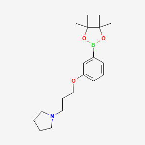 molecular formula C19H30BNO3 B1403236 1-(3-(3-(4,4,5,5-Tetramethyl-1,3,2-dioxaborolan-2-yl)phenoxy)propyl)pyrrolidine CAS No. 1229442-51-6