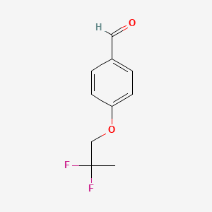 molecular formula C10H10F2O2 B14034421 4-(2,2-Difluoropropoxy)benzaldehyde 