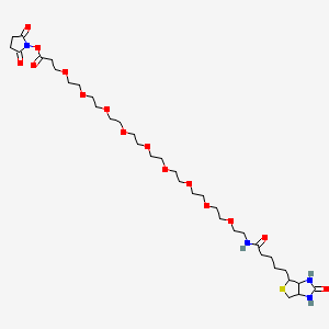 (+)-Biotin-PEG9-NHS Ester