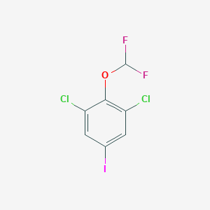 molecular formula C7H3Cl2F2IO B14036284 1,3-Dichloro-2-difluoromethoxy-5-iodobenzene 