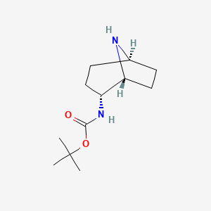 molecular formula C12H22N2O2 B1403673 endo-2-(Boc-氨基)-8-氮杂双环[3.2.1]辛烷 CAS No. 1408076-01-6