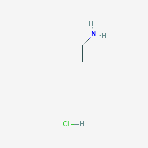 molecular formula C5H10ClN B1403707 3-亚甲基环丁-1-胺盐酸盐 CAS No. 136137-55-8