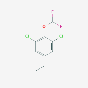 molecular formula C9H8Cl2F2O B14039572 1,3-Dichloro-2-difluoromethoxy-5-ethylbenzene 