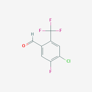 molecular formula C8H3ClF4O B14041063 4-Chloro-5-fluoro-2-(trifluoromethyl)benzaldehyde 