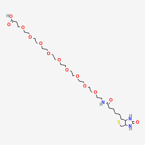 (+)-Biotin-PEG9-CH2CH2COOH