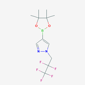 molecular formula C12H16BF5N2O2 B14043009 1-(2,2,3,3,3-Pentafluoropropyl)-4-(4,4,5,5-tetramethyl-1,3,2-dioxaborolan-2-yl)-1H-pyrazole 