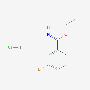 B1404330 Ethyl 3-bromobenzimidate hydrochloride CAS No. 57508-63-1