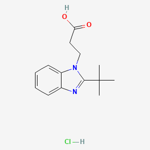 molecular formula C14H19ClN2O2 B1404490 3-(2-叔丁基-1H-1,3-苯并二唑-1-基)丙酸盐酸盐 CAS No. 1432679-62-3