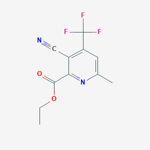 molecular formula C11H9F3N2O2 B1404625 3-氰基-6-甲基-4-(三氟甲基)吡啶-2-羧酸乙酯 CAS No. 1565827-82-8