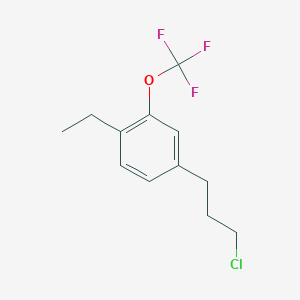 molecular formula C12H14ClF3O B14046345 1-(3-Chloropropyl)-4-ethyl-3-(trifluoromethoxy)benzene 