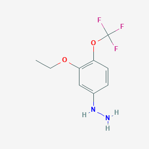 1-(3-Ethoxy-4-(trifluoromethoxy)phenyl)hydrazine