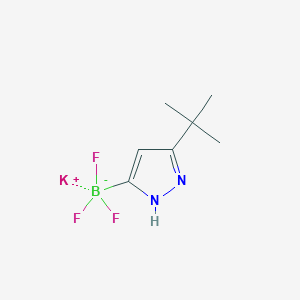 molecular formula C7H11BF3KN2 B1404674 （3-(叔丁基)-1H-吡唑-5-基）三氟硼酸钾 CAS No. 1402242-84-5