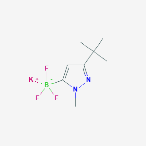 molecular formula C8H13BF3KN2 B1404705 (3-(叔丁基)-1-甲基-1H-吡唑-5-基)三氟硼酸钾 CAS No. 1402242-79-8