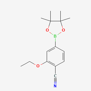 B1404707 2-Ethoxy-4-(4,4,5,5-tetramethyl-1,3,2-dioxaborolan-2-yl)benzonitrile CAS No. 2098425-93-3