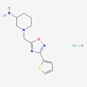 1-{[3-(2-Thienyl)-1,2,4-oxadiazol-5-yl]-methyl}piperidin-3-amine hydrochloride