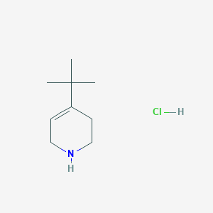 molecular formula C9H18ClN B1404815 4-叔丁基-1,2,3,6-四氢吡啶盐酸盐 CAS No. 1423029-73-5