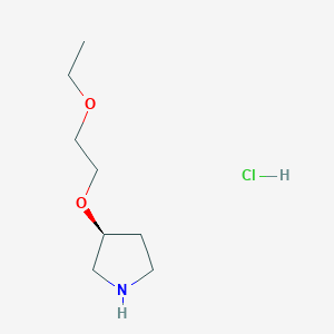 molecular formula C8H18ClNO2 B1404863 (3S)-3-(2-乙氧基乙氧基)吡咯烷盐酸盐 CAS No. 1423040-89-4