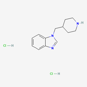 molecular formula C13H19Cl2N3 B1404939 1-(哌啶-4-基甲基)-1H-苯并咪唑二盐酸盐 CAS No. 1351589-67-7