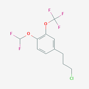 molecular formula C11H10ClF5O2 B14049896 1-(3-Chloropropyl)-4-(difluoromethoxy)-3-(trifluoromethoxy)benzene 