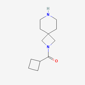 Cyclobutyl-(2,7-diazaspiro[3.5]non-2-yl)-methanone