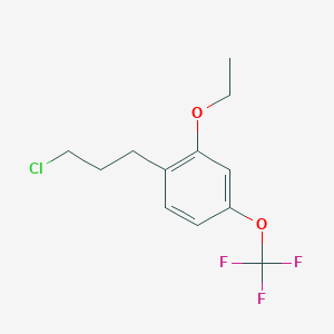 molecular formula C12H14ClF3O2 B14050758 1-(3-Chloropropyl)-2-ethoxy-4-(trifluoromethoxy)benzene 