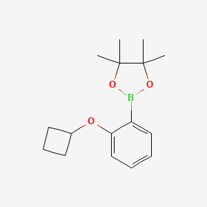 2-(2-Cyclobutoxyphenyl)-4,4,5,5-tetramethyl-1,3,2-dioxaborolane