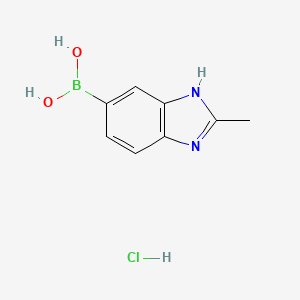 molecular formula C8H10BClN2O2 B14051267 (2-Methyl-1H-benzo[d]imidazol-6-yl)boronic acid hydrochloride 