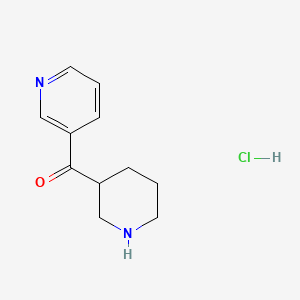 molecular formula C11H15ClN2O B1405196 3-[(哌啶-3-基)羰基]吡啶盐酸盐 CAS No. 1600563-01-6