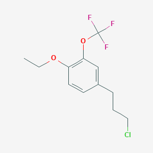 molecular formula C12H14ClF3O2 B14051994 1-(3-Chloropropyl)-4-ethoxy-3-(trifluoromethoxy)benzene 