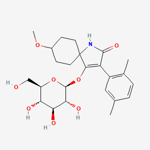 molecular formula C24H33NO8 B1405234 Cis-3-(2,5-dimethylphenyl)-8-methoxy-2-oxo-1-azaspiro(4.5)dec-3-en-4-yl beta-D-glucopyranoside CAS No. 1172614-86-6