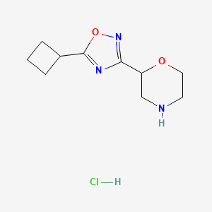 molecular formula C10H16ClN3O2 B1405239 2-(5-Cyclobutyl-1,2,4-oxadiazol-3-yl)morpholine hydrochloride CAS No. 1779123-52-2