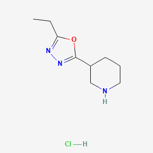 molecular formula C9H16ClN3O B1405289 3-(5-乙基-1,3,4-噁二唑-2-基)哌啶盐酸盐 CAS No. 1707580-46-8